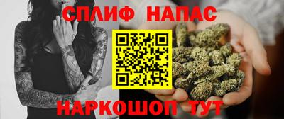 ECSTASY Обь