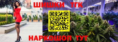 сатива Новодвинск