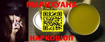 сатива Новодвинск
