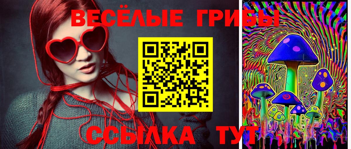 Советская Гавань  Галлюциногенные грибы мицелий  Псилоцибиновые грибы прущие грибы  Вход с VPN 