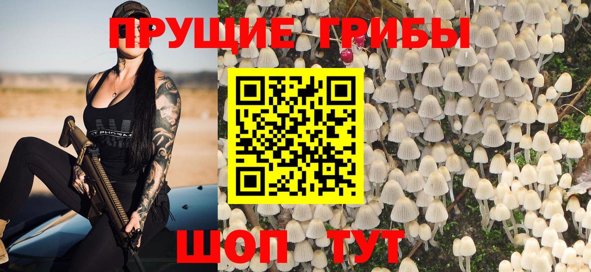 Псилоцибиновые грибы ЛСД Советская Гавань